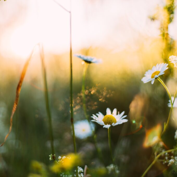 Spring Cleaning for Leaders